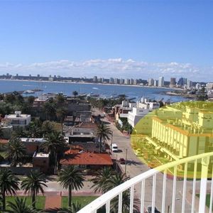 Península Zona Del Puerto