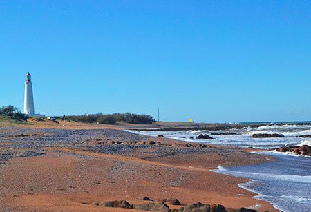 Alquileres en La Paloma